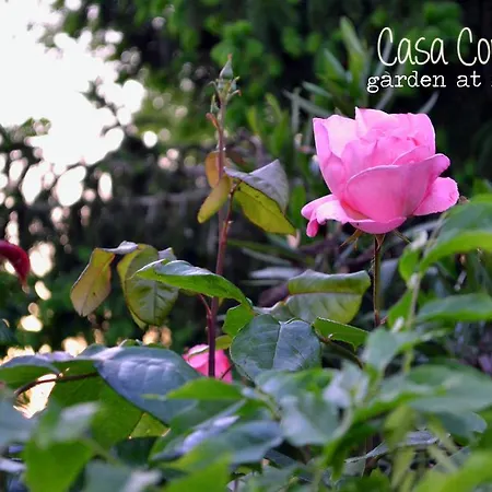 Casa Country 3* Mirano