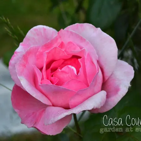 Casa Country Oda ve Kahvaltı Mirano